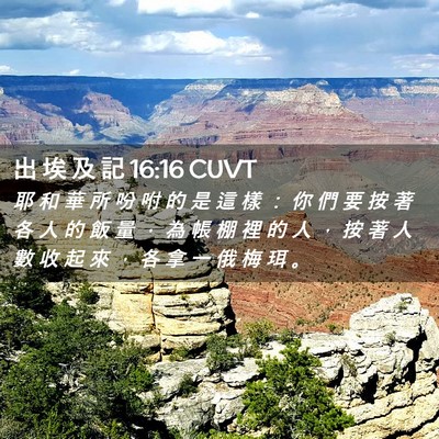 Picture 02 - 出 埃 及 記 16:16 CUVT - 耶 和 華 所 吩 咐 的 是 這 樣 ： 你 - Bible Verse Picture