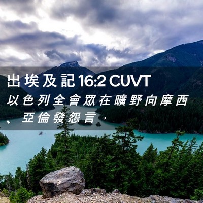 Picture 02 - 出 埃 及 記 16:2 CUVT - 以 色 列 全 會 眾 在 曠 野 向 摩 西 - Bible Verse Picture