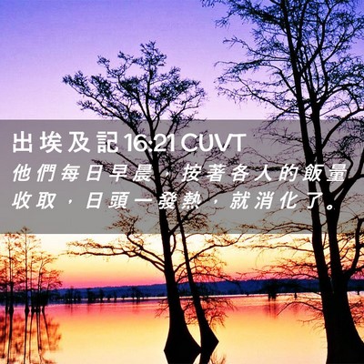 Picture 02 - 出 埃 及 記 16:21 CUVT - 他 們 每 日 早 晨 ， 按 著 各 人 的 - Bible Verse Picture