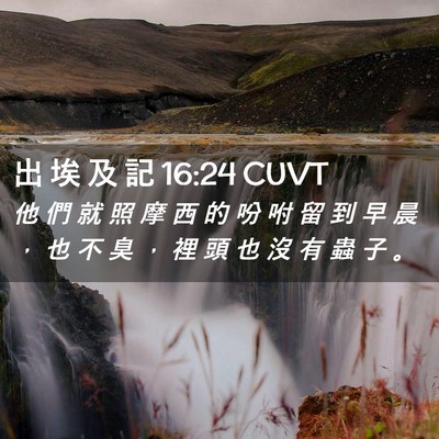 Picture 02 - 出 埃 及 記 16:24 CUVT - 他 們 就 照 摩 西 的 吩 咐 留 到 早 - Bible Verse Picture
