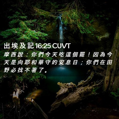 Picture 02 - 出 埃 及 記 16:25 CUVT - 摩 西 說 ： 你 們 今 天 吃 這 個 罷 - Bible Verse Picture