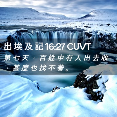 Picture 02 - 出 埃 及 記 16:27 CUVT - 第 七 天 ， 百 姓 中 有 人 出 去 收 - Bible Verse Picture