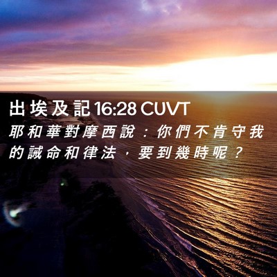 Picture 02 - 出 埃 及 記 16:28 CUVT - 耶 和 華 對 摩 西 說 ： 你 們 不 肯 - Bible Verse Picture