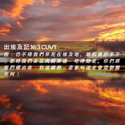 Picture 02 - 出 埃 及 記 16:3 CUVT - 說 ： 巴 不 得 我 們 早 死 在 埃 及 - Bible Verse Picture