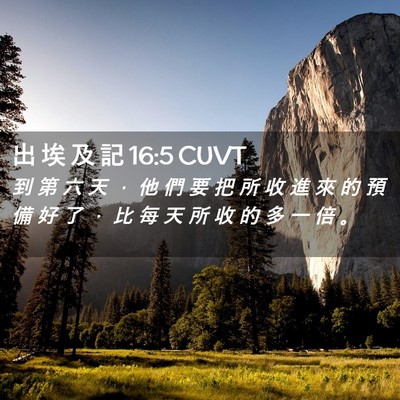 Picture 02 - 出 埃 及 記 16:5 CUVT - 到 第 六 天 ， 他 們 要 把 所 收 進 - Bible Verse Picture