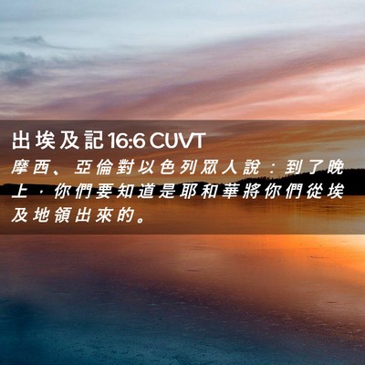 Picture 02 - 出 埃 及 記 16:6 CUVT - 摩 西 、 亞 倫 對 以 色 列 眾 人 說 - Bible Verse Picture
