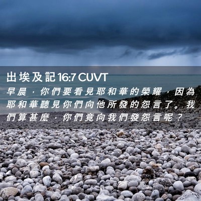 Picture 02 - 出 埃 及 記 16:7 CUVT - 早 晨 ， 你 們 要 看 見 耶 和 華 的 - Bible Verse Picture