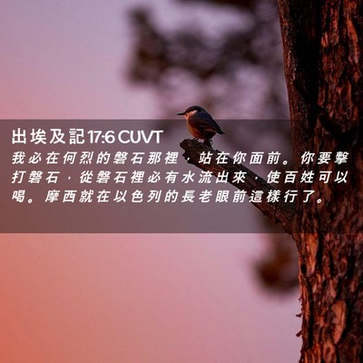 Picture 02 - 出 埃 及 記 17:6 CUVT - 我 必 在 何 烈 的 磐 石 那 裡 ， 站 - Bible Verse Picture