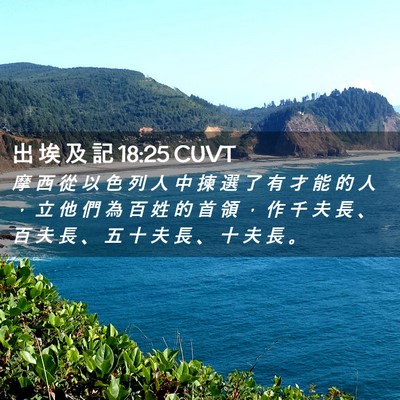 Picture 02 - 出 埃 及 記 18:25 CUVT - 摩 西 從 以 色 列 人 中 揀 選 了 有 - Bible Verse Picture
