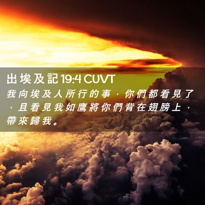 Picture 02 - 出 埃 及 記 19:4 CUVT - 我 向 埃 及 人 所 行 的 事 ， 你 們 - Bible Verse Picture