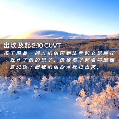Picture 02 - 出 埃 及 記 2:10 CUVT - 孩 子 漸 長 ， 婦 人 把 他 帶 到 法 - Bible Verse Picture