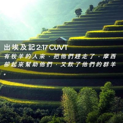 Picture 02 - 出 埃 及 記 2:17 CUVT - 有 牧 羊 的 人 來 ， 把 他 們 趕 走 - Bible Verse Picture