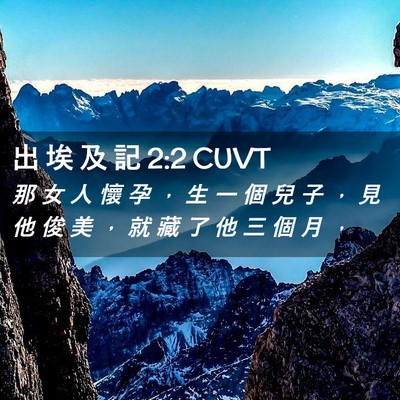 Picture 02 - 出 埃 及 記 2:2 CUVT - 那 女 人 懷 孕 ， 生 一 個 兒 子 ， - Bible Verse Picture