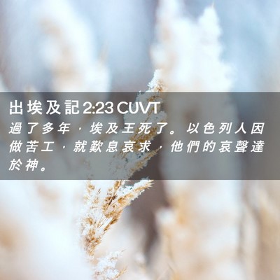 Picture 02 - 出 埃 及 記 2:23 CUVT - 過 了 多 年 ， 埃 及 王 死 了 。 以 - Bible Verse Picture