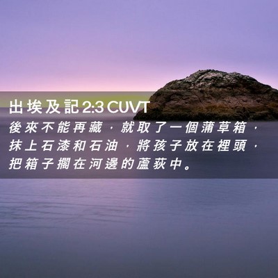 Picture 02 - 出 埃 及 記 2:3 CUVT - 後 來 不 能 再 藏 ， 就 取 了 一 個 - Bible Verse Picture