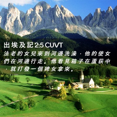 Picture 02 - 出 埃 及 記 2:5 CUVT - 法 老 的 女 兒 來 到 河 邊 洗 澡 ， - Bible Verse Picture
