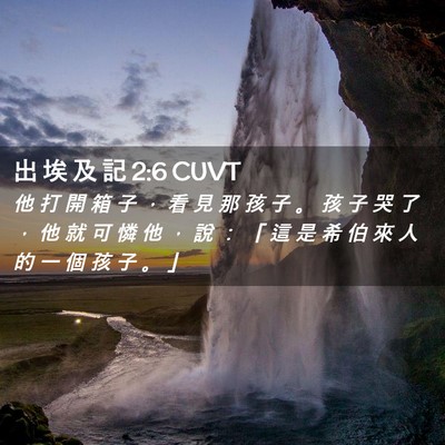 Picture 02 - 出 埃 及 記 2:6 CUVT - 他 打 開 箱 子 ， 看 見 那 孩 子 。 - Bible Verse Picture