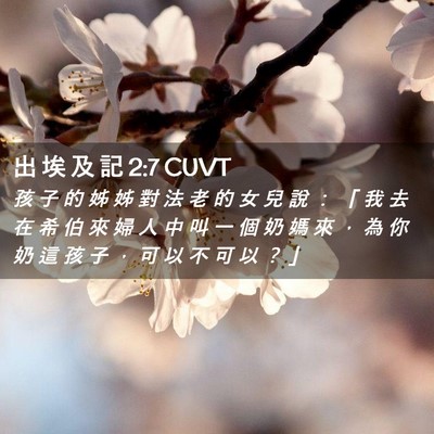 Picture 02 - 出 埃 及 記 2:7 CUVT - 孩 子 的 姊 姊 對 法 老 的 女 兒 說 - Bible Verse Picture