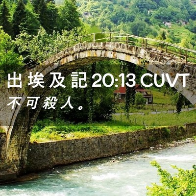 Picture 02 - 出 埃 及 記 20:13 CUVT - 不 可 殺 人 - Bible Verse Picture