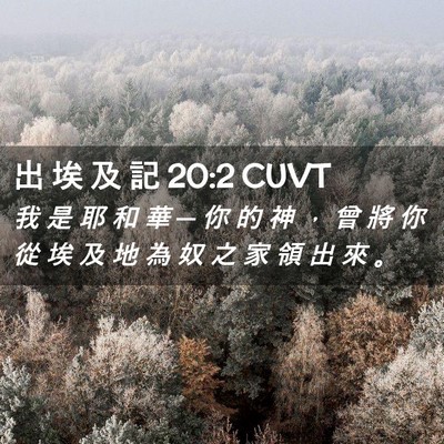 Picture 02 - 出 埃 及 記 20:2 CUVT - 我 是 耶 和 華 ─ 你 的 神 ， 曾 將 - Bible Verse Picture