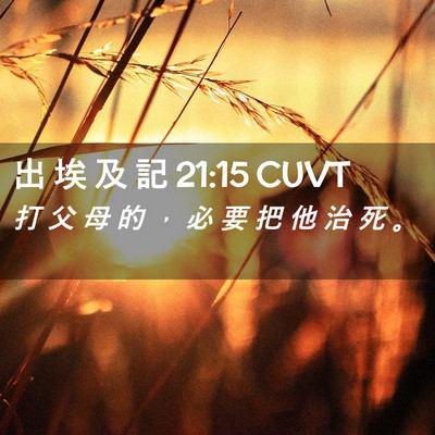 Picture 02 - 出 埃 及 記 21:15 CUVT - 打 父 母 的 ， 必 要 把 他 治 死 - Bible Verse Picture