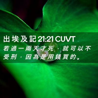 Picture 02 - 出 埃 及 記 21:21 CUVT - 若 過 一 兩 天 才 死 ， 就 可 以 不 - Bible Verse Picture