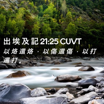 Picture 02 - 出 埃 及 記 21:25 CUVT - 以 烙 還 烙 ， 以 傷 還 傷 ， 以 打 - Bible Verse Picture
