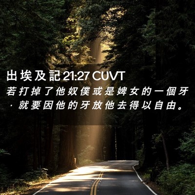Picture 02 - 出 埃 及 記 21:27 CUVT - 若 打 掉 了 他 奴 僕 或 是 婢 女 的 - Bible Verse Picture