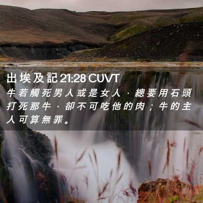 Picture 02 - 出 埃 及 記 21:28 CUVT - 牛 若 觸 死 男 人 或 是 女 人 ， 總 - Bible Verse Picture