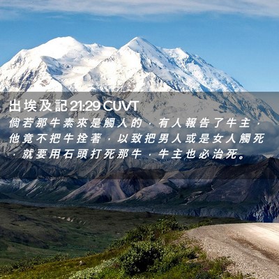 Picture 02 - 出 埃 及 記 21:29 CUVT - 倘 若 那 牛 素 來 是 觸 人 的 ， 有 - Bible Verse Picture