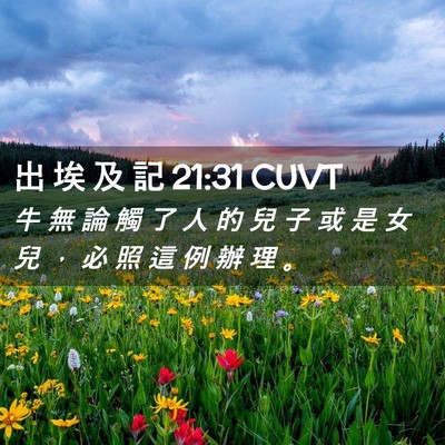 Picture 02 - 出 埃 及 記 21:31 CUVT - 牛 無 論 觸 了 人 的 兒 子 或 是 女 - Bible Verse Picture