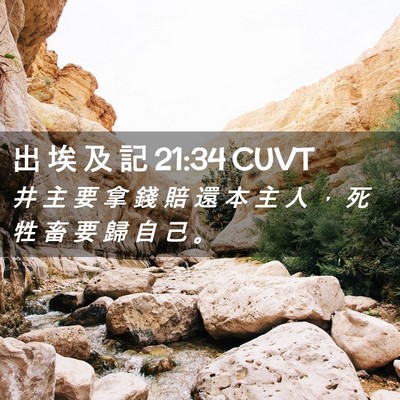 Picture 02 - 出 埃 及 記 21:34 CUVT - 井 主 要 拿 錢 賠 還 本 主 人 ， 死 - Bible Verse Picture