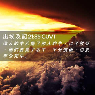 Picture 02 - 出 埃 及 記 21:35 CUVT - 這 人 的 牛 若 傷 了 那 人 的 牛 ， - Bible Verse Picture