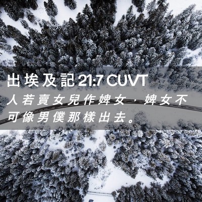 Picture 02 - 出 埃 及 記 21:7 CUVT - 人 若 賣 女 兒 作 婢 女 ， 婢 女 不 - Bible Verse Picture