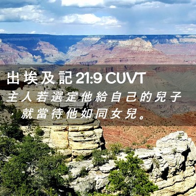 Picture 02 - 出 埃 及 記 21:9 CUVT - 主 人 若 選 定 他 給 自 己 的 兒 子 - Bible Verse Picture