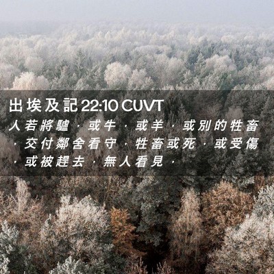 Picture 02 - 出 埃 及 記 22:10 CUVT - 人 若 將 驢 ， 或 牛 ， 或 羊 ， 或 - Bible Verse Picture