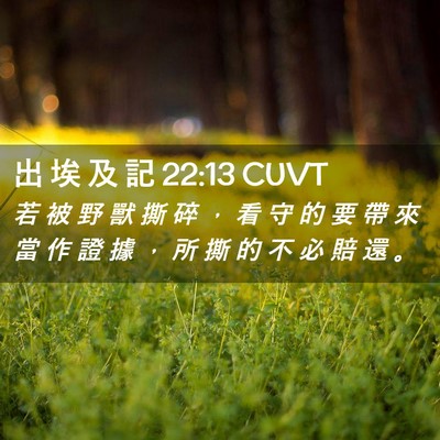 Picture 02 - 出 埃 及 記 22:13 CUVT - 若 被 野 獸 撕 碎 ， 看 守 的 要 帶 - Bible Verse Picture