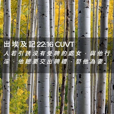 Picture 02 - 出 埃 及 記 22:16 CUVT - 人 若 引 誘 沒 有 受 聘 的 處 女 ， - Bible Verse Picture