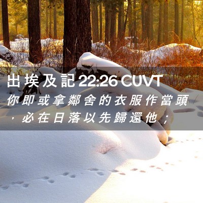 Picture 02 - 出 埃 及 記 22:26 CUVT - 你 即 或 拿 鄰 舍 的 衣 服 作 當 頭 - Bible Verse Picture