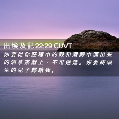 Picture 02 - 出 埃 及 記 22:29 CUVT - 你 要 從 你 莊 稼 中 的 穀 和 酒 醡 - Bible Verse Picture