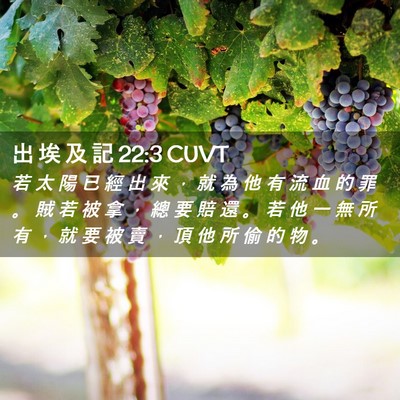 Picture 02 - 出 埃 及 記 22:3 CUVT - 若 太 陽 已 經 出 來 ， 就 為 他 有 - Bible Verse Picture