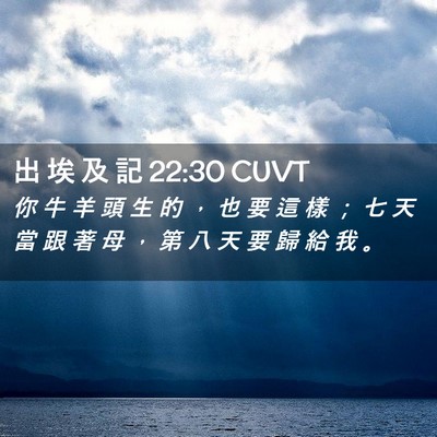 Picture 02 - 出 埃 及 記 22:30 CUVT - 你 牛 羊 頭 生 的 ， 也 要 這 樣 ； - Bible Verse Picture