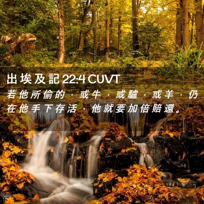 Picture 02 - 出 埃 及 記 22:4 CUVT - 若 他 所 偷 的 ， 或 牛 ， 或 驢 ， - Bible Verse Picture