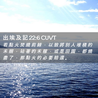 Picture 02 - 出 埃 及 記 22:6 CUVT - 若 點 火 焚 燒 荊 棘 ， 以 致 將 別 - Bible Verse Picture