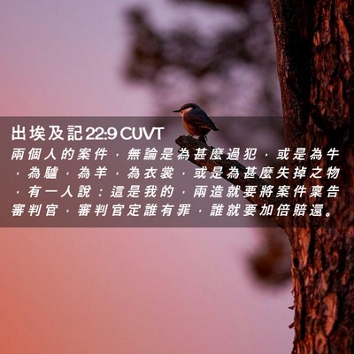 Picture 02 - 出 埃 及 記 22:9 CUVT - 兩 個 人 的 案 件 ， 無 論 是 為 甚 - Bible Verse Picture