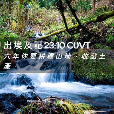 Picture 02 - 出 埃 及 記 23:10 CUVT - 六 年 你 要 耕 種 田 地 ， 收 藏 土 - Bible Verse Picture