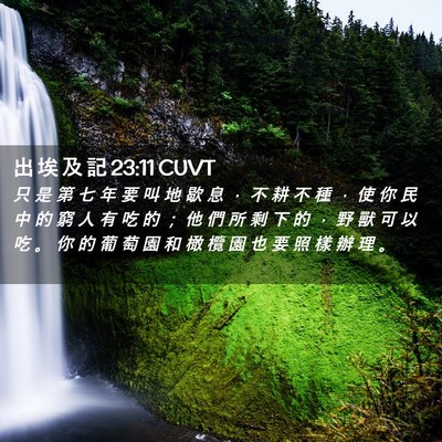Picture 02 - 出 埃 及 記 23:11 CUVT - 只 是 第 七 年 要 叫 地 歇 息 ， 不 - Bible Verse Picture