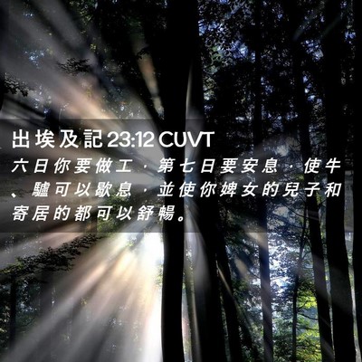 Picture 02 - 出 埃 及 記 23:12 CUVT - 六 日 你 要 做 工 ， 第 七 日 要 安 - Bible Verse Picture