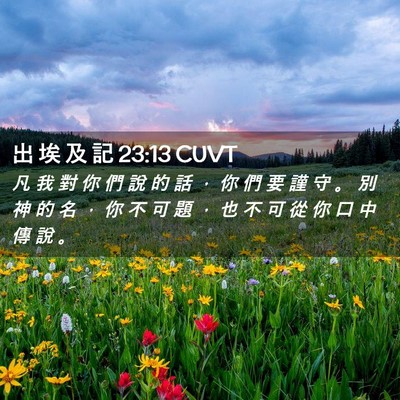Picture 02 - 出 埃 及 記 23:13 CUVT - 凡 我 對 你 們 說 的 話 ， 你 們 要 - Bible Verse Picture