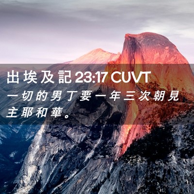 Picture 02 - 出 埃 及 記 23:17 CUVT - 一 切 的 男 丁 要 一 年 三 次 朝 見 - Bible Verse Picture